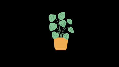 Eine-Pflanze-In-Einem-Topf-Mit-Blättersymbol-Konzept-Loop-Animationsvideo-Mit-Alphakanal