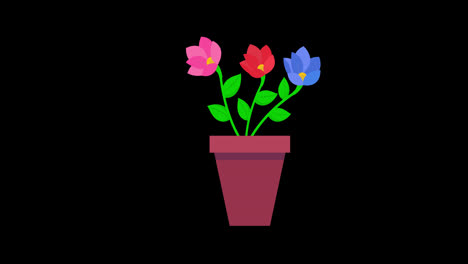 Drei-Blumen-In-Einem-Topf-Symbol-Konzept-Animation-Mit-Alphakanal