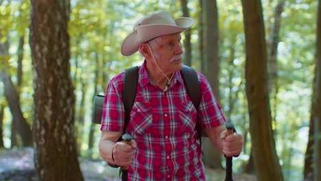 Senior-grandfather-tourist-man-engaged-in-Nordic-walking-sport-hiking-with-backpacks,-trekking-poles
