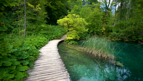 Nature-walking-path-in-Plitvice-Lakes,-Croatia.