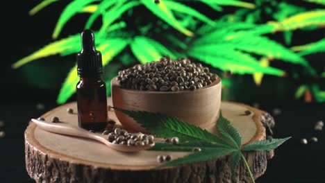 Legalisierte-Cannabissamen-Fallen-Und-Hüpfen,-Medizinisches-Cannabisprodukt.
