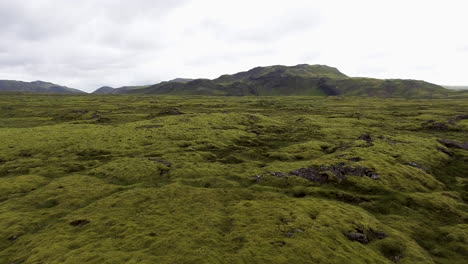 Luftaufnahme-Eines-Moosigen-Lavafeldes-In-Island.