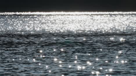 A-shimmering-pattern-of-fun-flares-on-the-rippled-surface-of-the-water