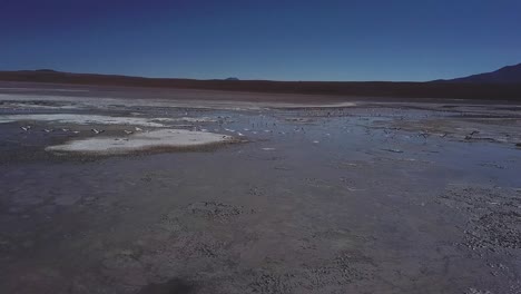 Vast-water-and-salt-flats-surface-with-flock-of-flamingo-birds-taking-flight