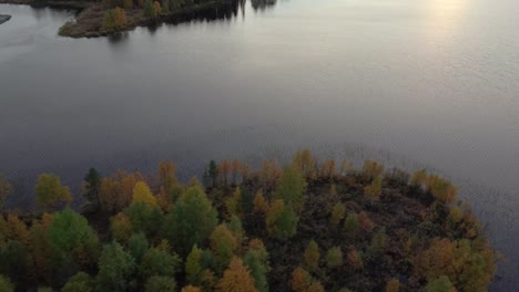 Aerial-drone-shot-of-lake-and-forest-near-sunset-in-Iceland