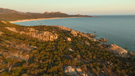 Drohnen-Dolley-Aufnahme-Eines-Dichten-Waldes-Auf-Korsika-Mit-Der-Bucht-Von-Roccapina-Im-Hintergrund