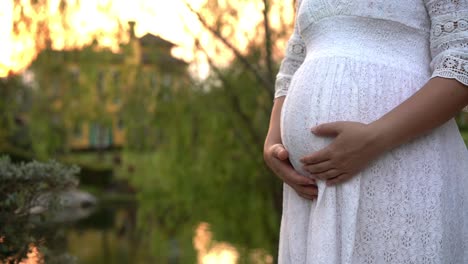 Mujer-Embarazada-Que-Se-Siente-Feliz-En-El-Jardín-De-Su-Casa.