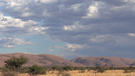 Eine-Kalahari-Landschaft-Mit-Bedrohlichen-Regenwolken-In-Der-Ferne
