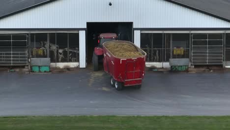 Tractor-pulling-a-Triolet-feed-mixer-into-a-barn-with-Holstein-dairy-cows