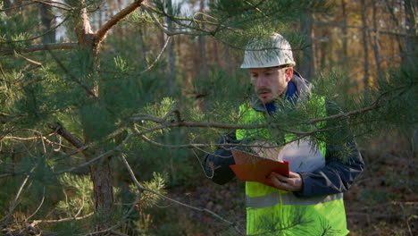 Tree-surgeon-specialist-assessing-and-documenting-health-of-branches