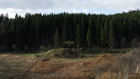 Indre-Fosen,-Kreis-Tröndelag,-Norwegen-–-Blick-Auf-Eine-Von-Immergrünen-Bäumen-Umgebene-Hütte-–-Rückzug-Aus-Der-Luft