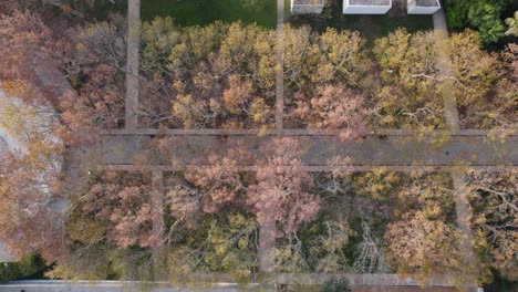 Luftaufnahme-Des-Duarte-Pacheco-Denkmals-Inmitten-Herbstlicher-Bäume,-Loul?