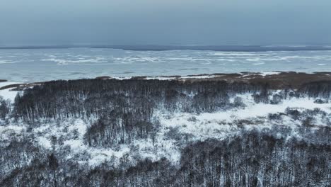 Aerial-view-of-the-forest-growing-in-the-swamp-near-the-Curonian-lagoon-in-winter