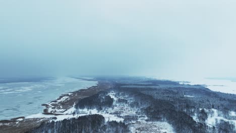 Panoramic-view-of-the-forest-growing-in-the-swamp-near-the-Curonian-lagoon-in-winter