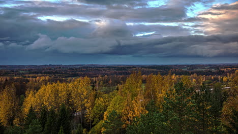 Moving-storm-clouds-in-rural-area-spruce-tree-forest-outside-Riga,-Latvia-time-lapse
