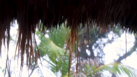 Misty,-foggy-view-of-raindrops-falling-from-thatched-roof-of-remote-beach-hut-during-rainy-downpour-on-a-tropical-island-destination