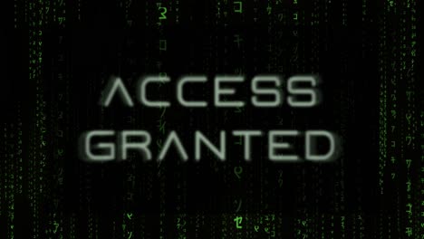 Access-Granted---Matrix-style-Hacker-Background