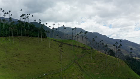 Aerial-drone-view-of-Cocora-Valley,-Salento,-Colombia