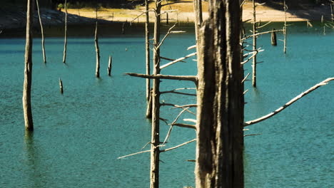 Rotten-Wooden-Poles-Over-Lake-In-Eagle-Hollow-Cave,-Arkansas,-United-States