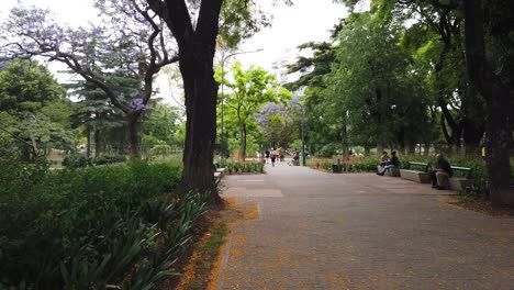 People-Enjoy-Urban-Green-Public-Park,-Colorful-Flower-Trees-in-Buenos-Aires-City-Argentina