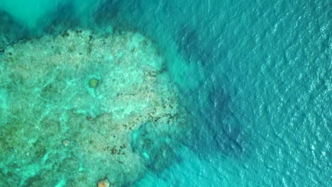 Aerial-view-directly-above-large-coral-reef-off-Isle-of-Pines,-Vertical-video