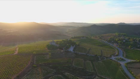 Vineyards-at-Sunrise-and-Montferri-Sanctuary