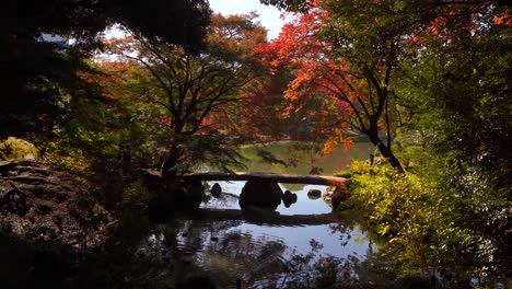 Unglaubliche-Filmische-Kulisse-Im-Silhouettierten-Japanischen-Landschaftsgarten-Im-Herbst