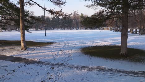 Drohnenwagen-Durch-Bäume-Im-Winter,-Park-übersät-Mit-Fußspuren-Auf-Einer-Weißen-Schneedecke