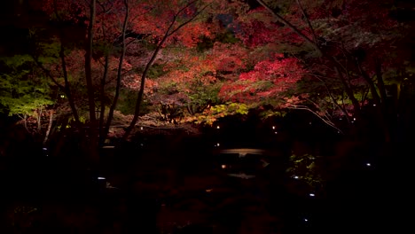 Impresionante-Paisaje-Nocturno-En-El-Jardín-Paisajístico-Japonés-En-Tokio-Con-Iluminaciones