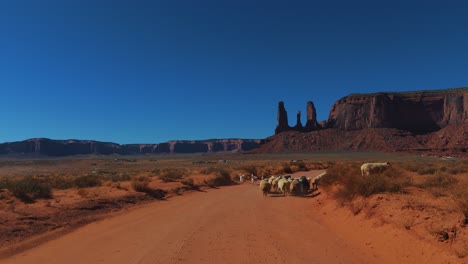 Valle-Del-Monumento-Con-Perros-Pastores-Y-Ovejas-En-Utah-Y-Arizona