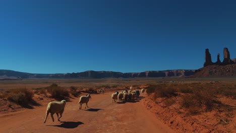 Monument-Valley-with-sheep-and-herding-dog-in-Utah-and-Arizona