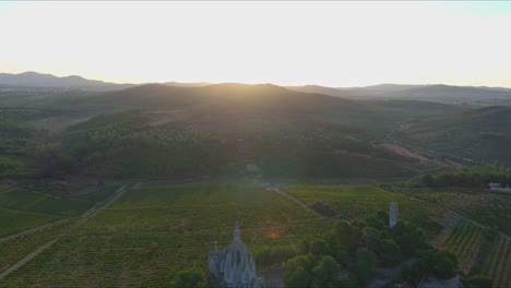 Vineyards-at-sunset-and-Virgin-of-Montserrat-Hermitage