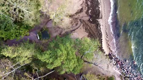 An-Aerial-View-Of-A-Grove-Near-A-River-With-Waves-Flowing-On-A-Rocky-Bank