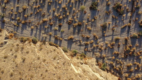 Drone-shot-looking-straight-down-at-arid-landscape-of-rocky-cliff-then-scrub-brush-covered-desert-floor