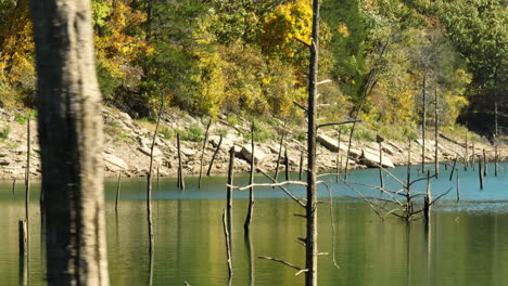 Wooden-Poles-Standing-Over-Lake-In-Eagle-Hollow-Cave,-Arkansas,-USA