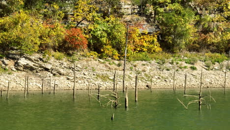 Rotten-Wood-Pilings-In-Idyllic-Water-Of-Lake-In-Eagle-Hollow-Cave,-Arkansas,-USA