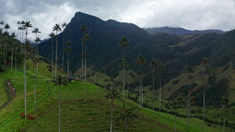 Luftdrohnenaufnahme-Des-Cocora-Tals,-Salento,-Kolumbien