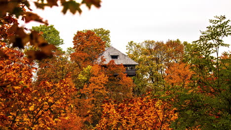 Zeitraffer-Eines-Holzhauses-Im-Wald-Im-Herbst,-Herbstbaum-Mit-Braun-goldenen-Blättern