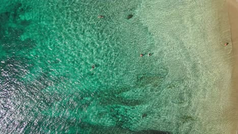 Aerial-view-of-tourists-swimming-in-next-to-beautiful-beach-with-corals-at-resort-in-Bali