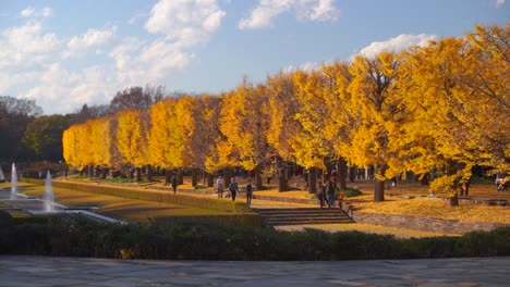 Slow-motion-view-walking-through-autumn-color-park-in-Japan