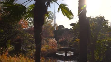 Stunning-scenery-inside-Japanese-landscape-garden-with-backdrop-of-Skytree
