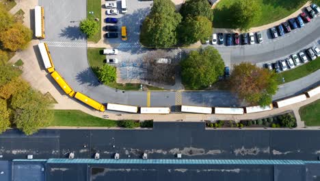 School-buses-in-line-outside-of-American-school-during-autumn
