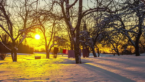 Schneebedeckter-Winterzeitraffer-Mit-Sonnenuntergang-In-Einem-Wald