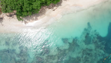 Top-down-aerial-drone-shot-of-tropical-beach