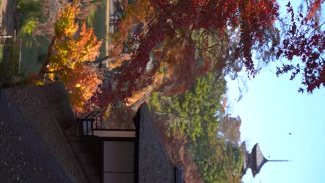 Vertikale-Filmische-Ansicht-Des-Japanischen-Landschaftsgartens-Mit-Fallenden-Blättern-Und-Pagode