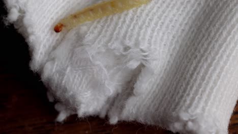 Larva-De-Polilla-Arrastrándose-Sobre-Tela-Tejida-Blanca