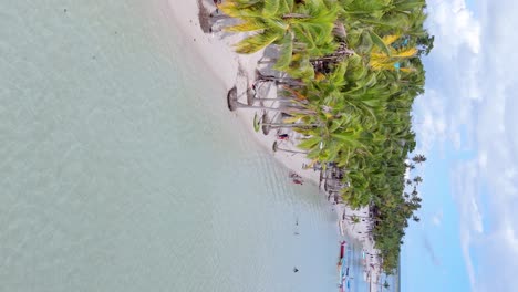 Vertical-dorne-shot-of-people-swimming-in-water-at-sandy-boca-chica-beach-with-palm-trees
