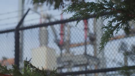Power-plant-sub-station-protected-by-barbed-wire-fence---behind-trees---medium-shot