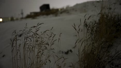 Night-time-reeds-blowing-in-the-snow