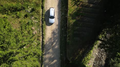 Top-View-Of-A-Car-Driving-On-Dirt-Road-With-Conifer-Trees